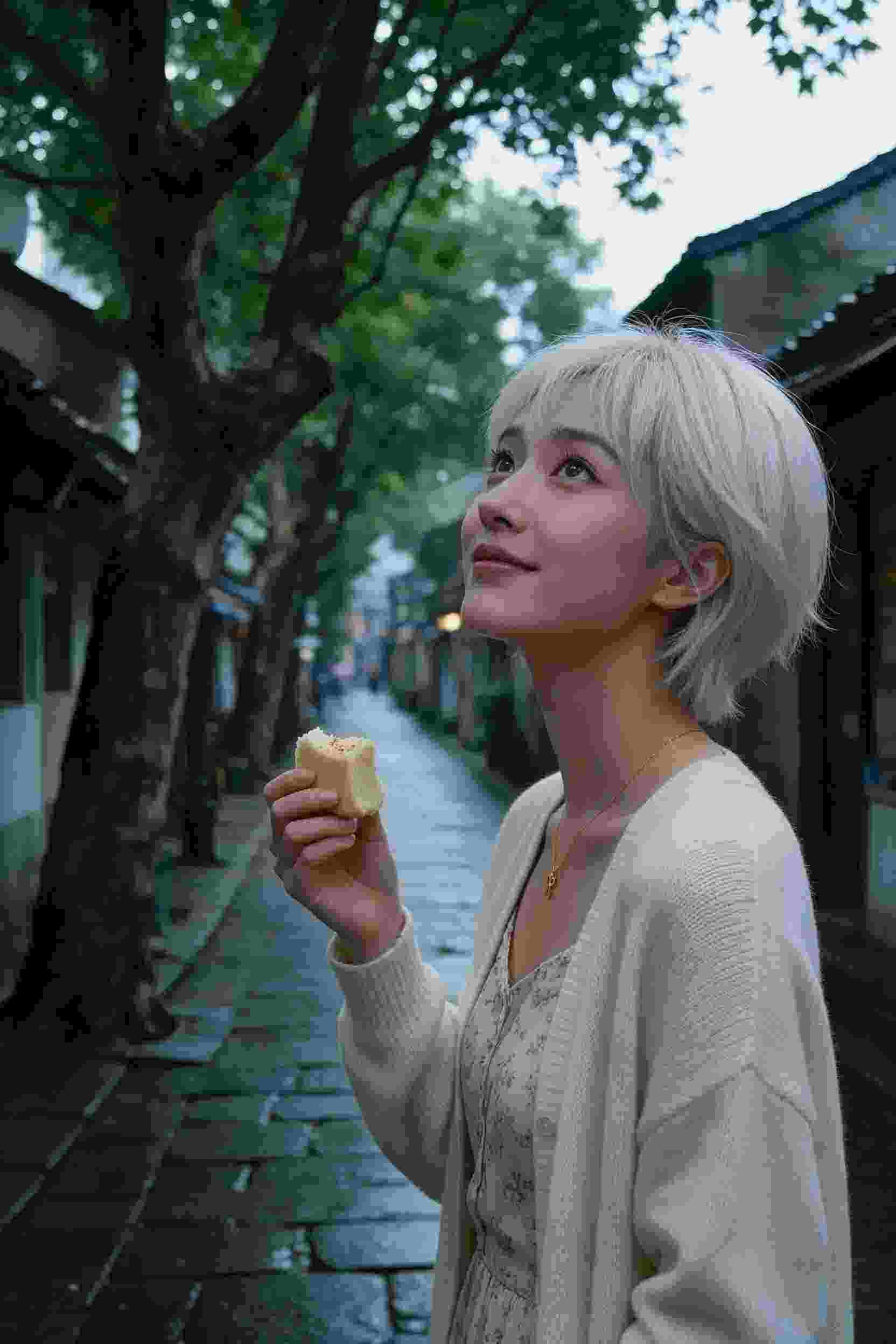 秘密的角落